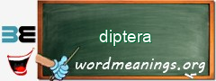 WordMeaning blackboard for diptera